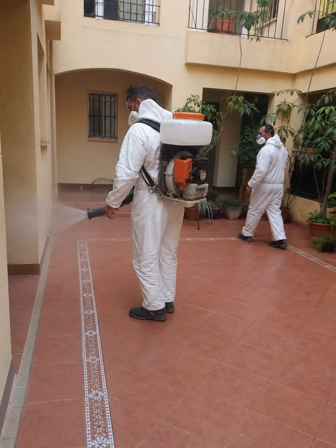 Técnicos de GarrigaPlagas aplicando un tratamiento de fumigación